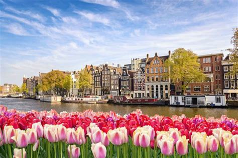 group travel packages to holland